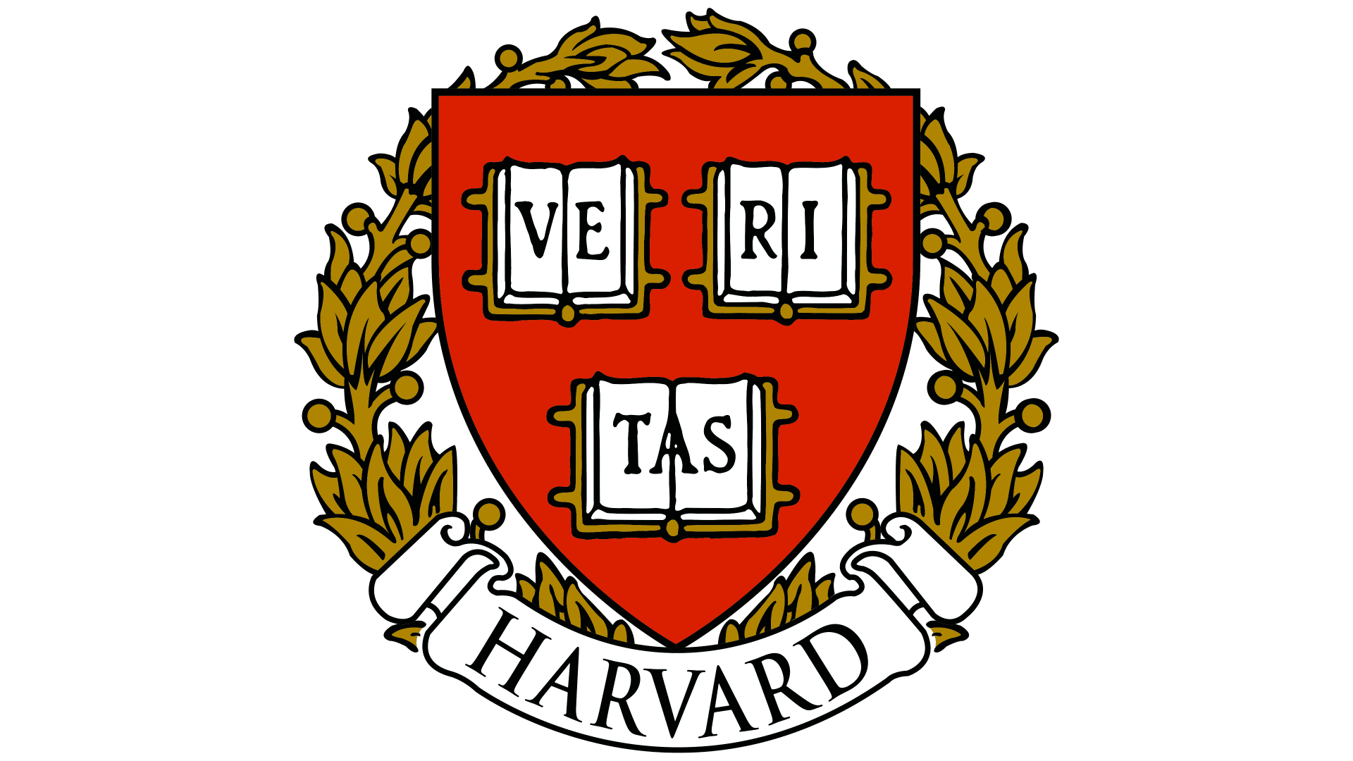 AI Study Co-Pilot pour étudiants ambitieux | Studentify